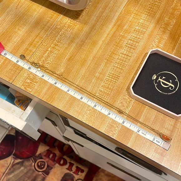 Juicy Couture Gold-Tone Watermelon Charm Necklace 🍉 - Picture 8 of 8